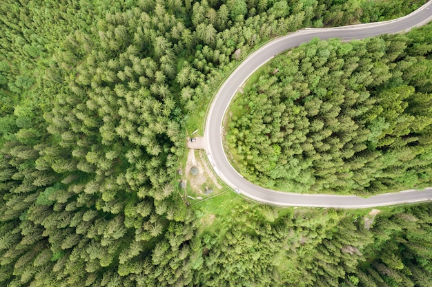 Vue aérienne de haut en bas de la route forestière sinueuse dans les bois d'épinette de montagne verte.