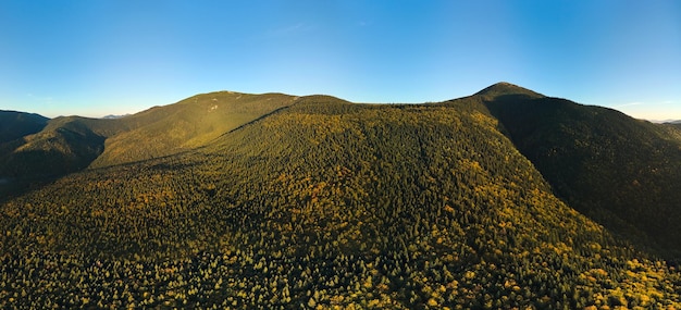 Vue aérienne de hautes collines avec des arbres de forêt de pins sombres à l'automne journée ensoleillée Paysage incroyable de bois de montagne sauvage