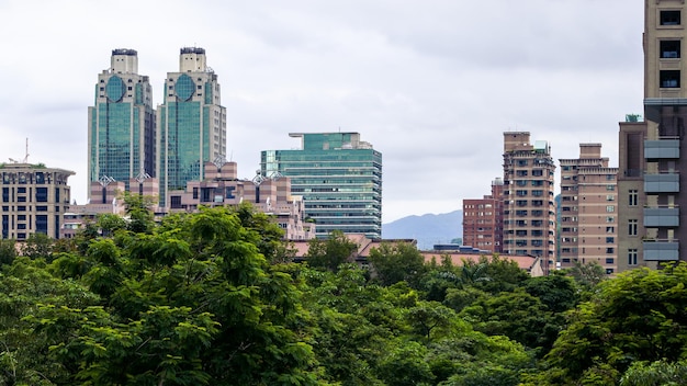 Vue aérienne de l'horizon et du parc de l'entreprise dans la ville moderne de Taipei. Imposants gratte-ciel de verre et forêt d'arbres. Immeubles de grande hauteur dans les quartiers de banlieue de la capitale de l'État. Belle ligne d'horizon