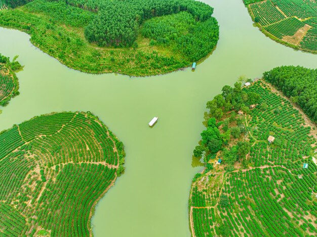 Photo vue aérienne de l'île de thanh chuong, colline de thé, paysage vert, fond, feuille verte, thanh chun nghe, vietnam