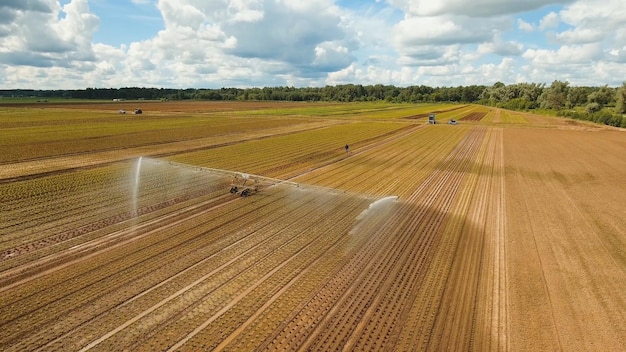 Vue aérienne de l'irrigation des cultures à l'aide du système d'arrosage à pivot central d'un pivot d'irrigation sal d'arrosage