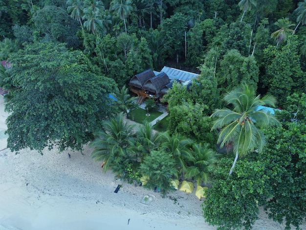 Photo vue aérienne d'une jungle urbaine verte avec des bâtiments vides et un feuillage luxuriant