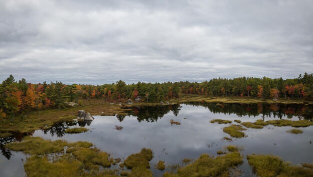 Vue aérienne d'un lac au cours d'une journée d'automne ensoleillée fond de nature feuillage coloré