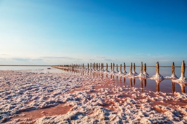 Vue aérienne, de, lac rose, et, plage sablonneuse