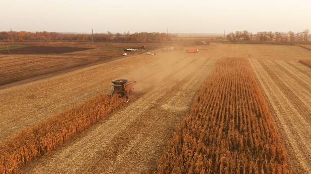 Vue aérienne des machines agricoles rassemblant la machine agricole de maïs dans le concept d'agriculture d'action