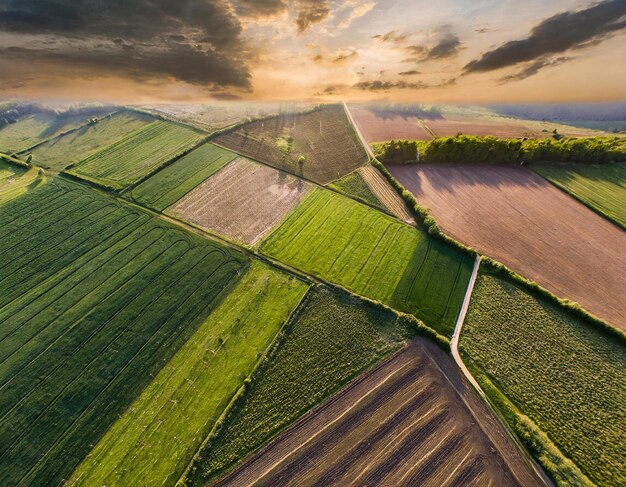 Vue aérienne de magnifiques champs agricoles montrant les motifs géométriques de la nature au coucher du soleil