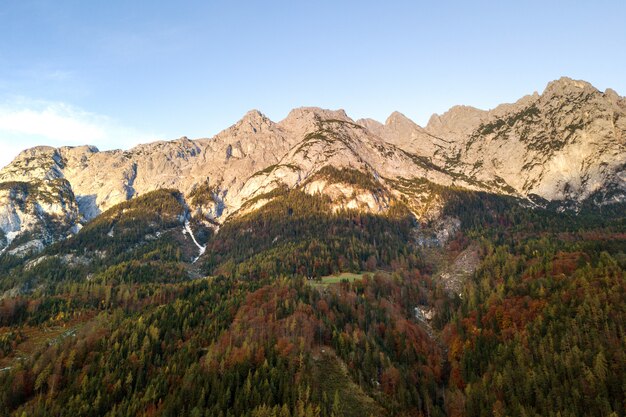 Vue aérienne des majestueuses montagnes des Alpes européennes couvertes de forêts de pins à feuilles persistantes en automne