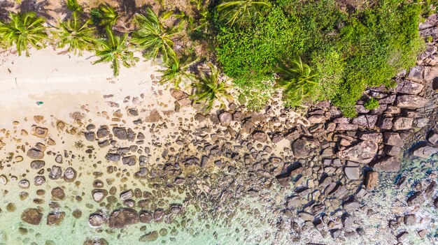 Vue aérienne avec la mer et la plage