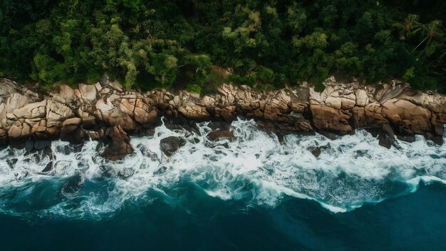 Photo vue aérienne de la mer rencontrant une rive rocheuse avec des arbres verts