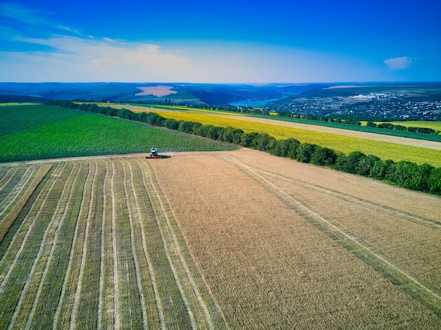 Vue aérienne sur moissonneuse-batteuse rassemble le blé au coucher du soleil. Récolte du champ de céréales, saison des récoltes. Vue sur moissonneuse dans le champ partiellement récolté. Été, Moldavie, Europe.