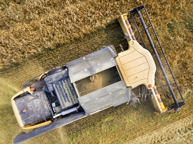 Vue aérienne de la moissonneuse-batteuse récoltant un grand champ de blé mûr. Agriculture vue par drone.