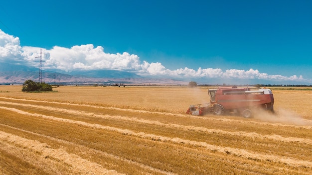 Vue aérienne de la moissonneuse-batteuse récolte du blé dans le domaine agricole