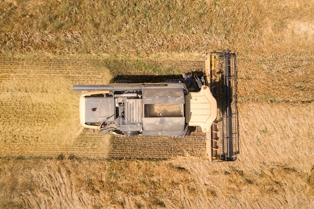 Vue aérienne de la moissonneuse-batteuse récolte grand champ de blé mûr