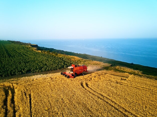 Photo vue aérienne d'une moissonneuse rouge travaillant dans un champ de blé près d'une falaise avec vue sur la mer au coucher du soleil.