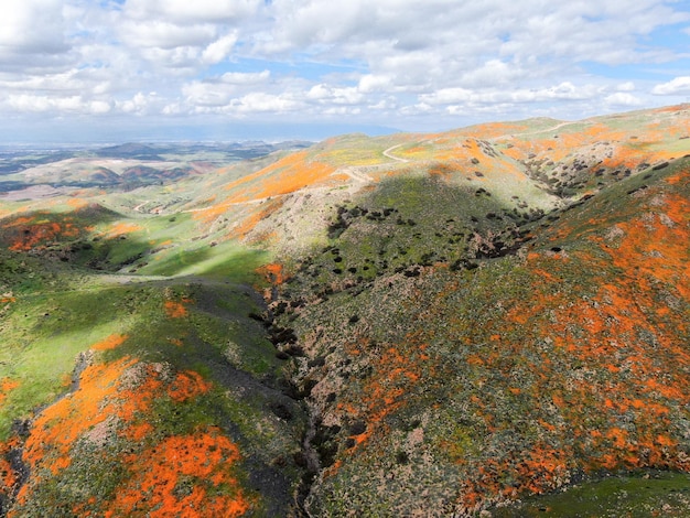 Vue aérienne de la montagne avec California Golden Poppy et Goldfields en fleurs à Walker Canyon