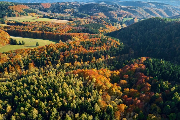 Vue aérienne des montagnes couvertes de forêt d'automne