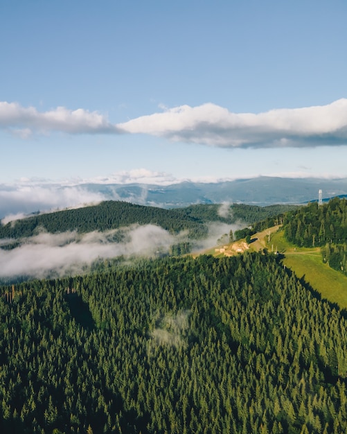 Vue aérienne des montagnes d'en haut l'été. chaîne des carpates