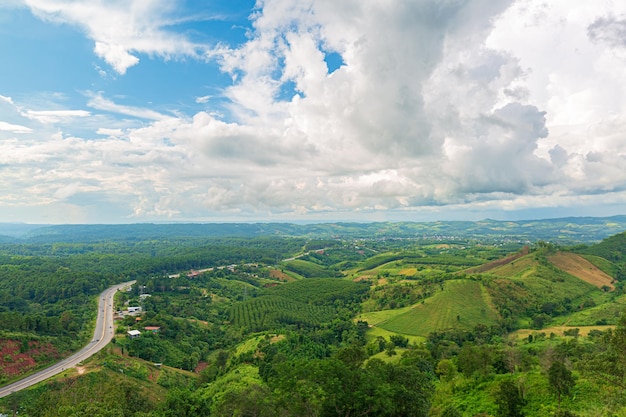 vue aérienne des montagnes et des routes en thaïlandeVue aérienne panoramique de la route courbe à travers le vert