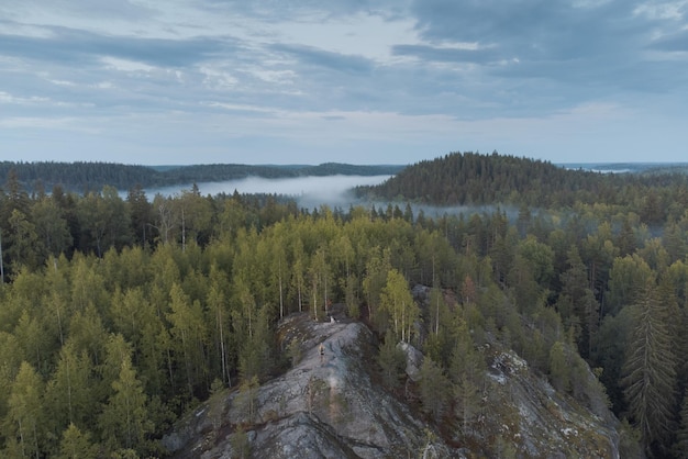 Photo vue aérienne panoramique de la forêt du nord