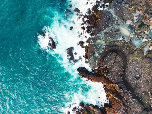 Vue aérienne de papillons d'Atlantique nichant sur la côte de l'Islande