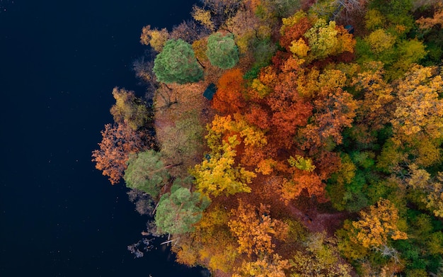 Vue aérienne par drone des arbres forestiers colorés et du lac en automne Ukraine