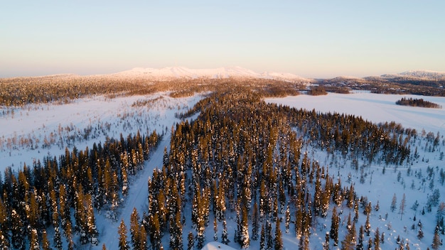 Vue aérienne par drone du paysage idyllique d'hiver Forêt couverte de neige verte depuis le sommet Soleil se lève dans la nature finlandaise d'un point de vue d'oiseau