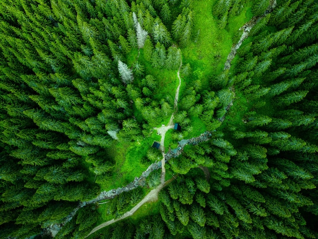 Vue aérienne par drone du sentier éducatif Zadne Medodoly Hautes Tatras Slovaquie