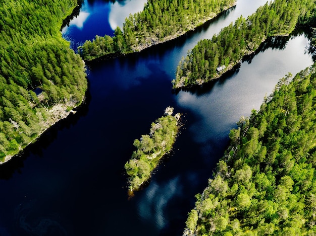 Vue aérienne par drone des lacs bleus et des forêts vertes Beau paysage d'été en Finlande