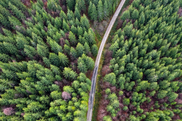 Vue aérienne par drone de la route forestière