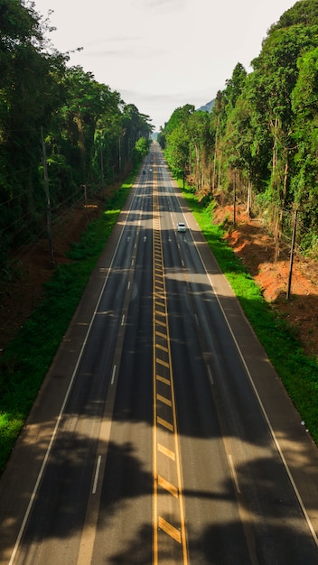 Vue Aérienne De Paysage D'arbre Ou De Forêt Et De Route, Krabi Thaïlande - Image