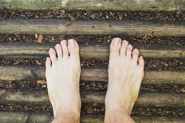 Photo une vue aérienne pieds nus sur la surface du bois dans la forêt