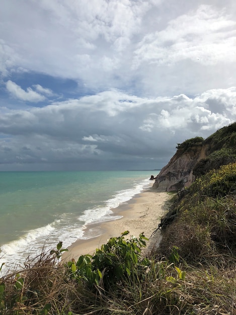 Vue aérienne de la plage Alagoas Brésil