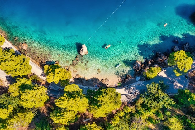 Vue aérienne sur la plage et les arbres Vue de dessus depuis un drone sur la plage et la mer d'azur Voyage et vacances