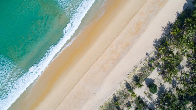 Vue aérienne plage de sable et vagues déferlantes sur le rivage sablonneux Belle mer tropicale le matin image de la saison estivale par Vue aérienne drone tourné vue grand angle Haut vers le bas