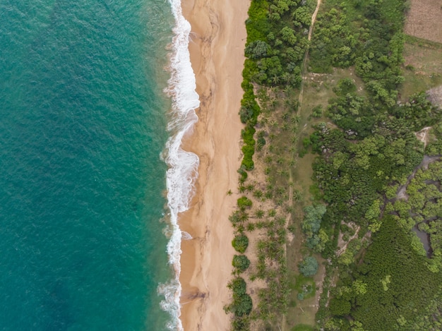 Vue aérienne de la plage de tangalle sri lanka vue d'en haut