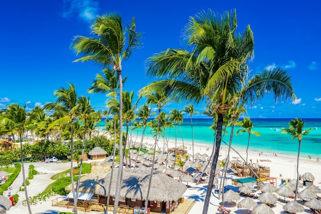 Vue aérienne de la plage tropicale de l'Atlantique avec des palmiers, des parasols en paille et des bateaux