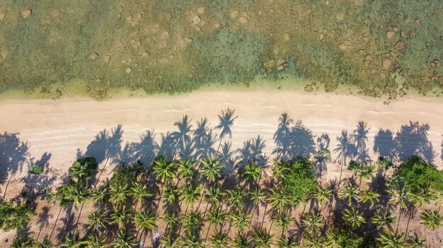 Photo vue aérienne de la plage tropicale depuis le dessus du sable de mer et des palmiers paysage de la plage de l'île