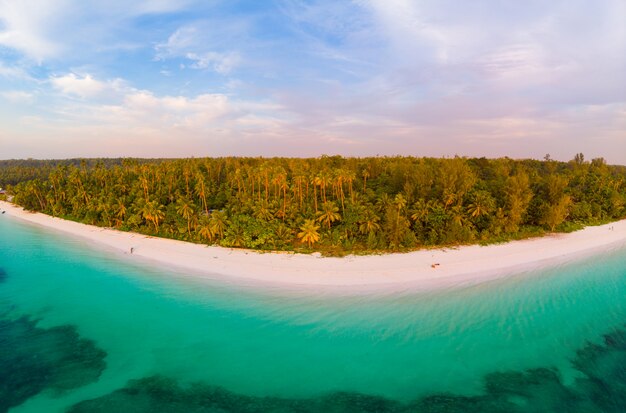 Vue aérienne plage tropicale île récif mer des Caraïbes. Indonésie Moluques