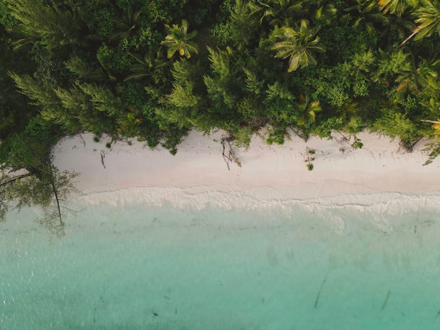 Vue aérienne de la plage turquoise de sable blanc avec jungle tropicale en Indonésie