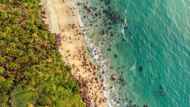 vue aérienne d'une plage avec une vue d'oiseau