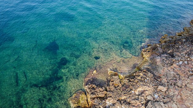 La vue aérienne de plan rapproché de la côte montre différentes couleurs formées par le corail