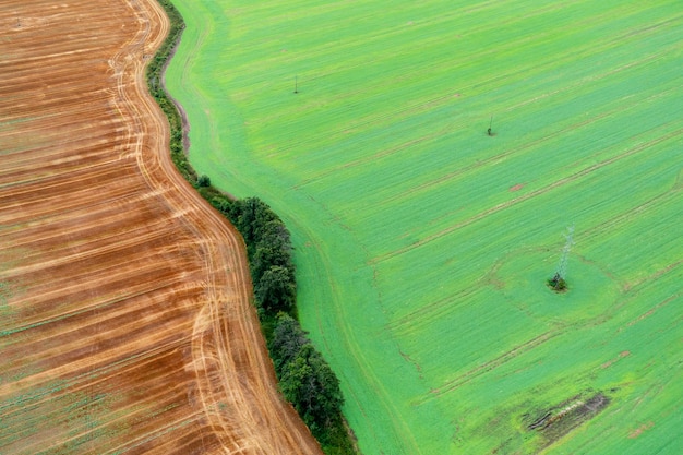 Vue aérienne des prés et des champs, champ vert