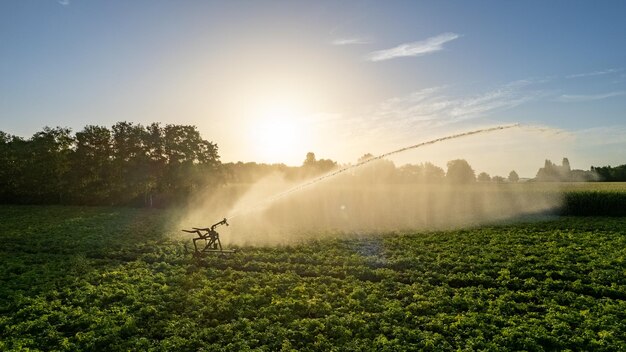 Photo vue aérienne prise par un drone d'un arroseur qui irrigue un champ de culture agricole en été