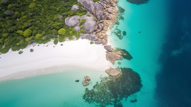 Une vue aérienne remarquable d'une île exotique montre la mer bleu éclair et les côtes de sable lumineux.