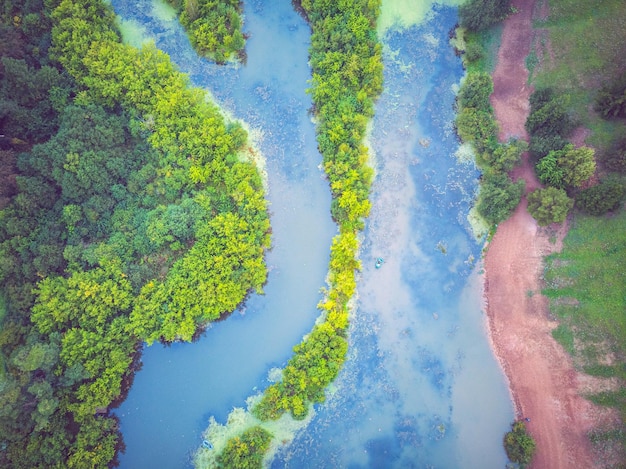 Vue aérienne de la rivière avec des arbres