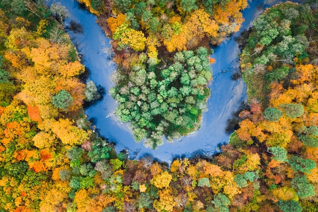 Vue aérienne de la rivière bleue et de la magnifique forêt d'automne colorée