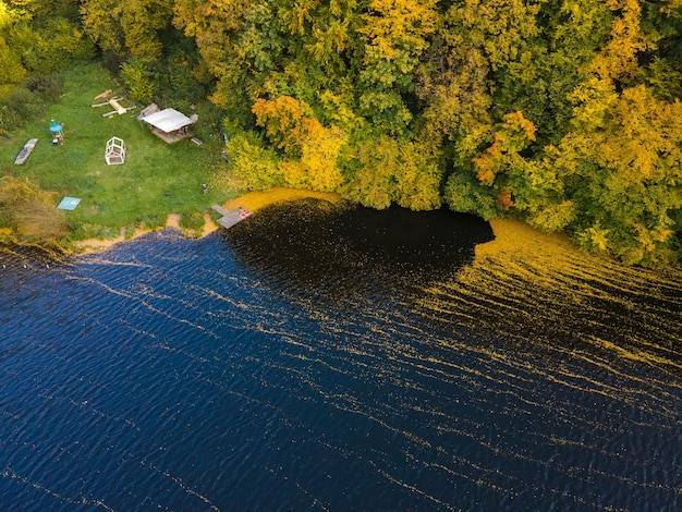 Vue aérienne de la rivière entourée de forêt d'automne