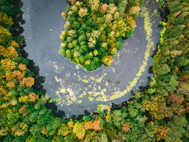 Vue aérienne de la rivière et de la forêt en automne