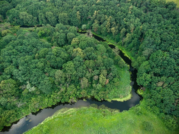 Vue aérienne sur la rivière qui se trouve sur la forêt verte. photo de drone