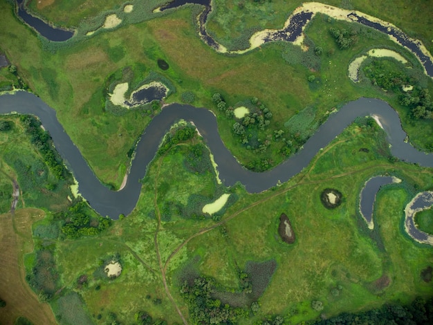 Vue aérienne sur la rivière qui se trouve sur la forêt verte. photo de drone